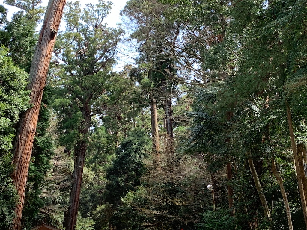 f:id:pokomama:20200328155211j:image:w260,h180