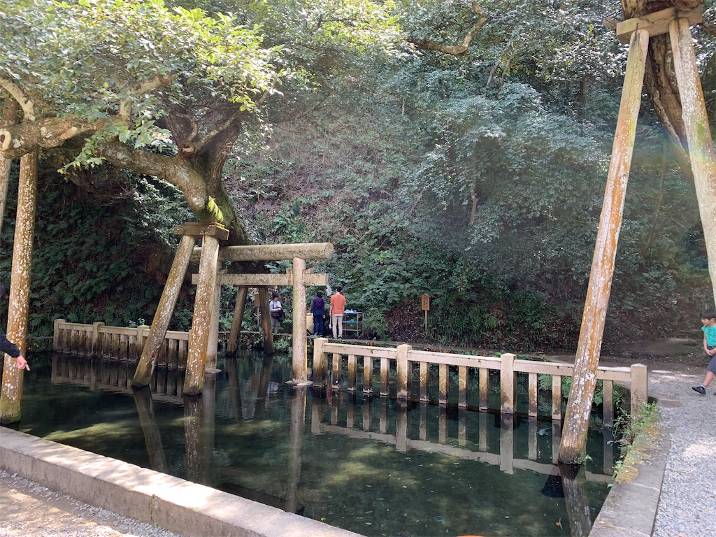 f:id:pokomama:20200328155229j:image:w260,h180