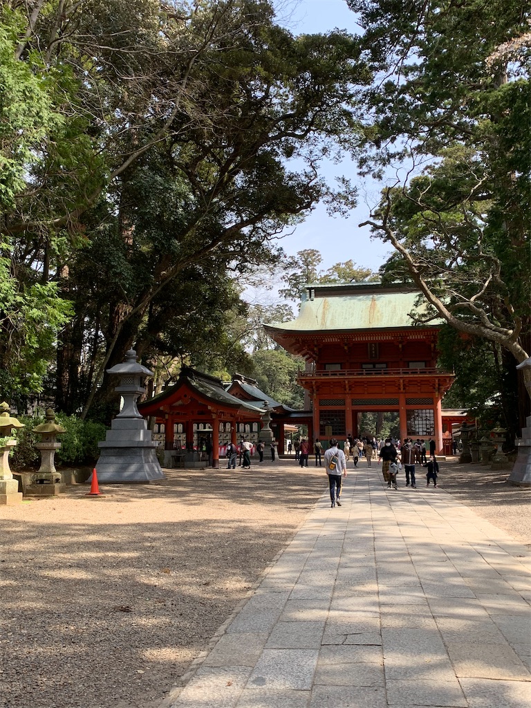 f:id:pokomama:20200328155250j:image:w240,h280