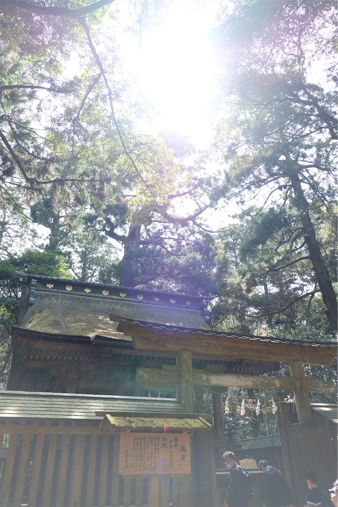 f:id:pokomama:20200328155304j:image:w240,h280
