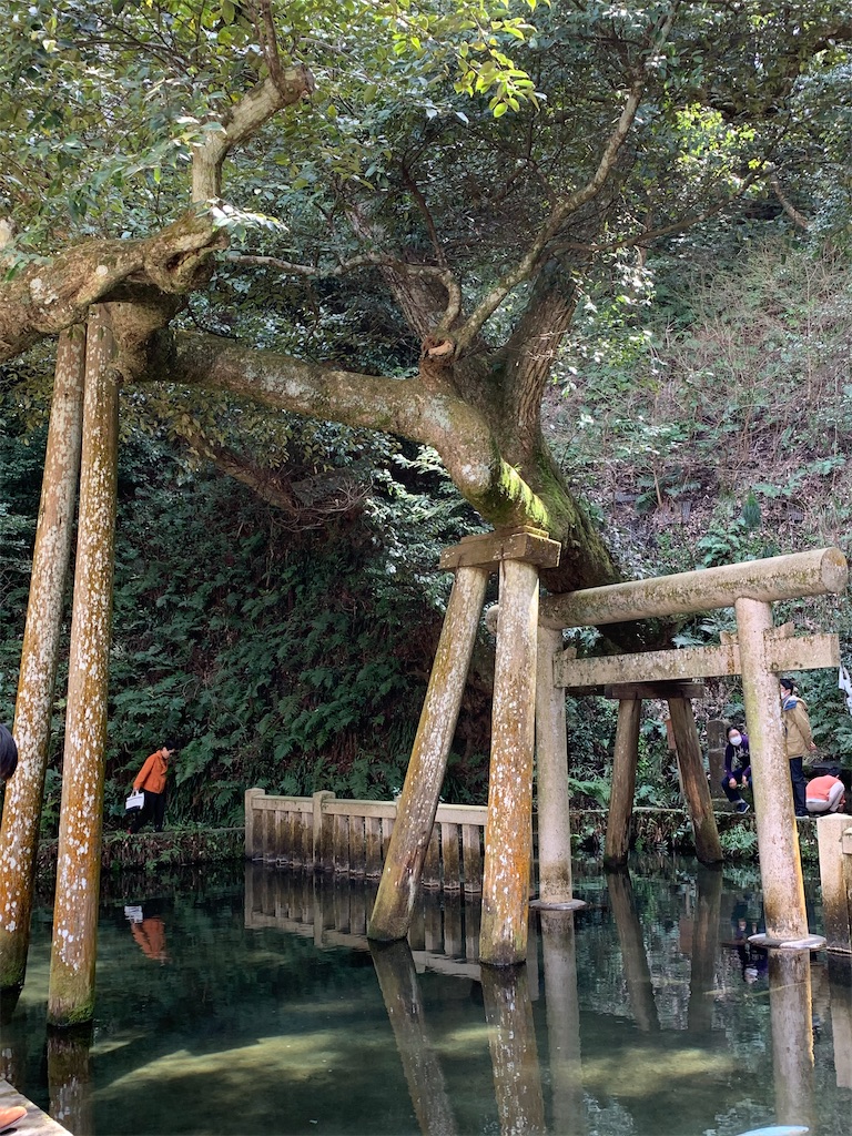 f:id:pokomama:20200328155319j:image:w240,h280