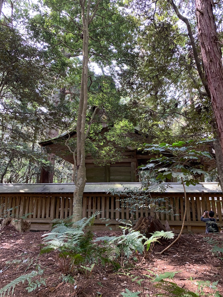 f:id:pokomama:20200328155331j:image:w240,h280