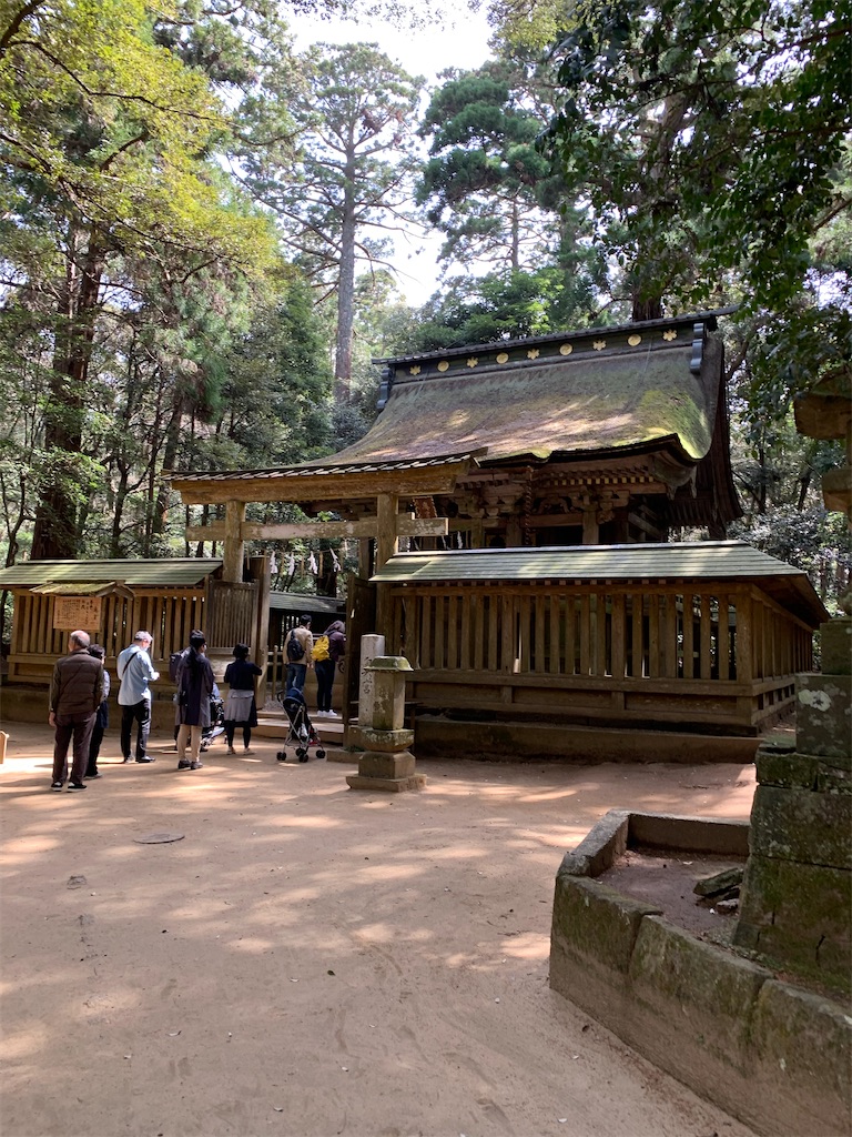 f:id:pokomama:20200328155334j:image:w240,h280