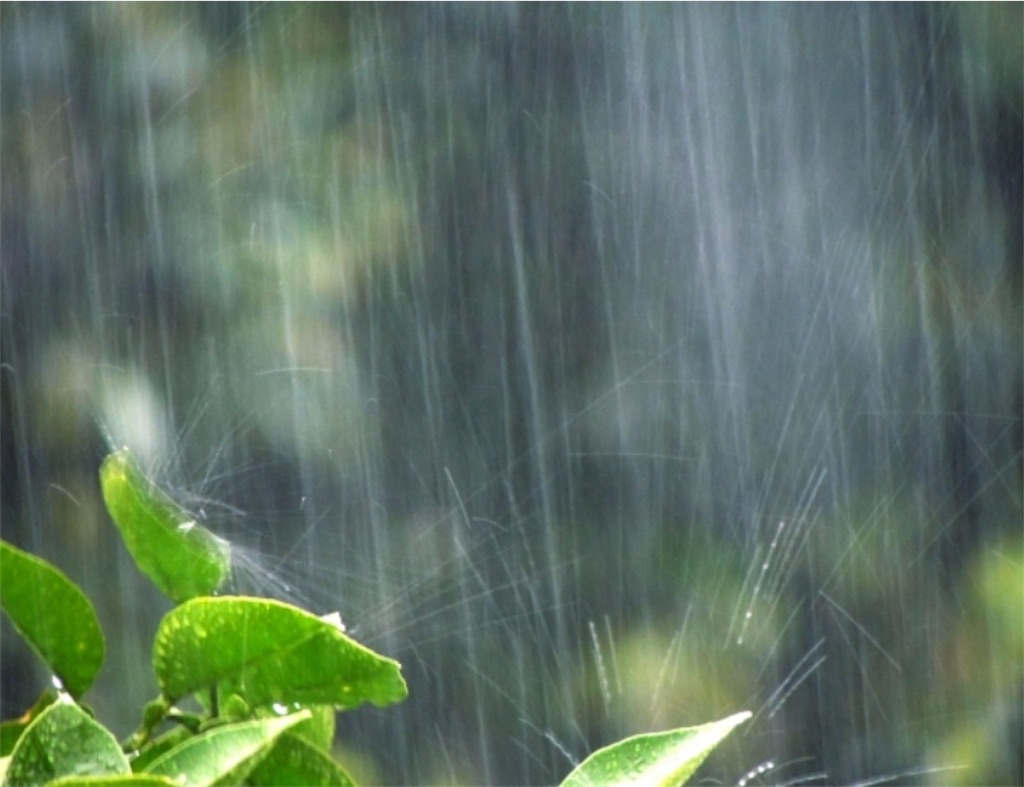 f:id:pokomama:20200907152622j:plain:w260,h200