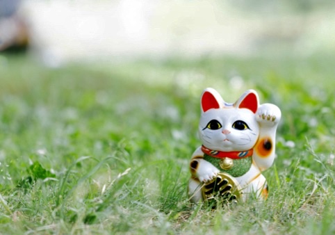 f:id:pokomama:20200913155355j:plain:w240,h180 f:id:pokomama:20200913155355j:plain:w240,h180