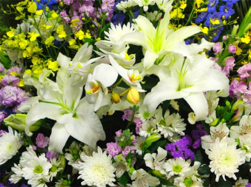 f:id:pokomama:20200919133159j:plain:w260,h200