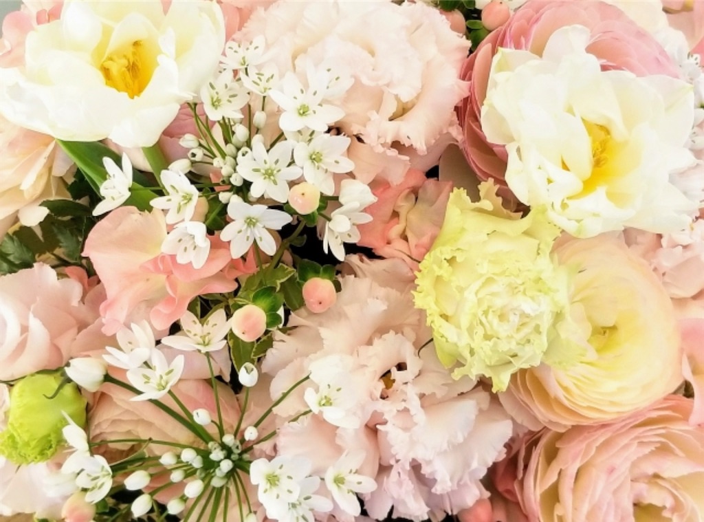 f:id:pokomama:20210510160841j:plain:w240,h200