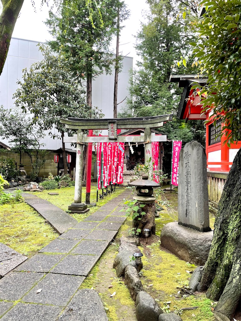 f:id:pokomama:20210706132936j:plain:w240,h240