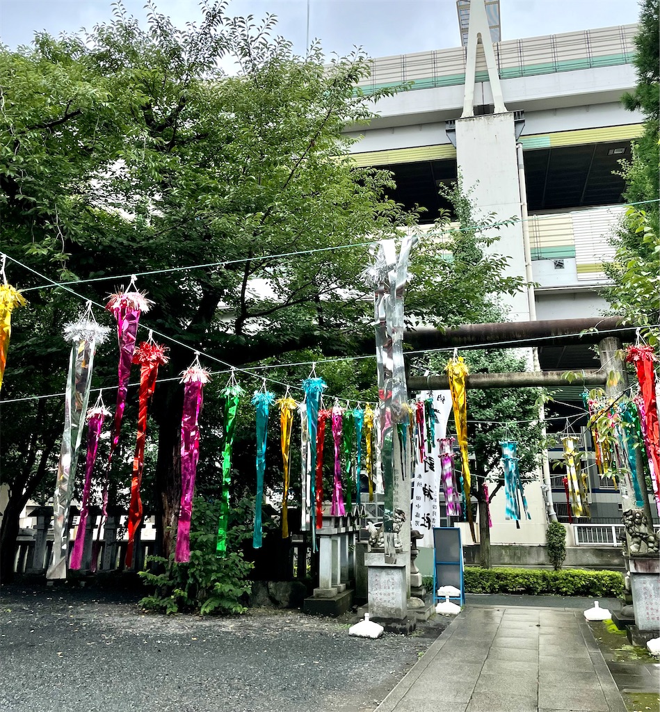 f:id:pokomama:20210706132943j:plain:w240,h240