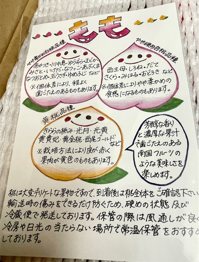 ふるさと納税 白桃 Pokomama日記
