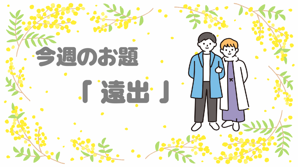 今週のお題「遠出」　ADHDぽこまるの選択子なしな生活