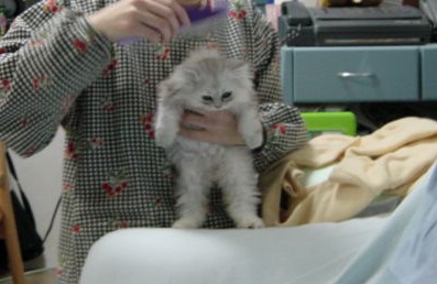 f:id:pokomiru1010:20180727231634j:plain