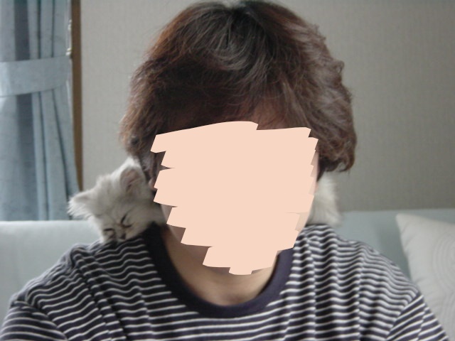 f:id:pokomiru1010:20180731215926j:plain