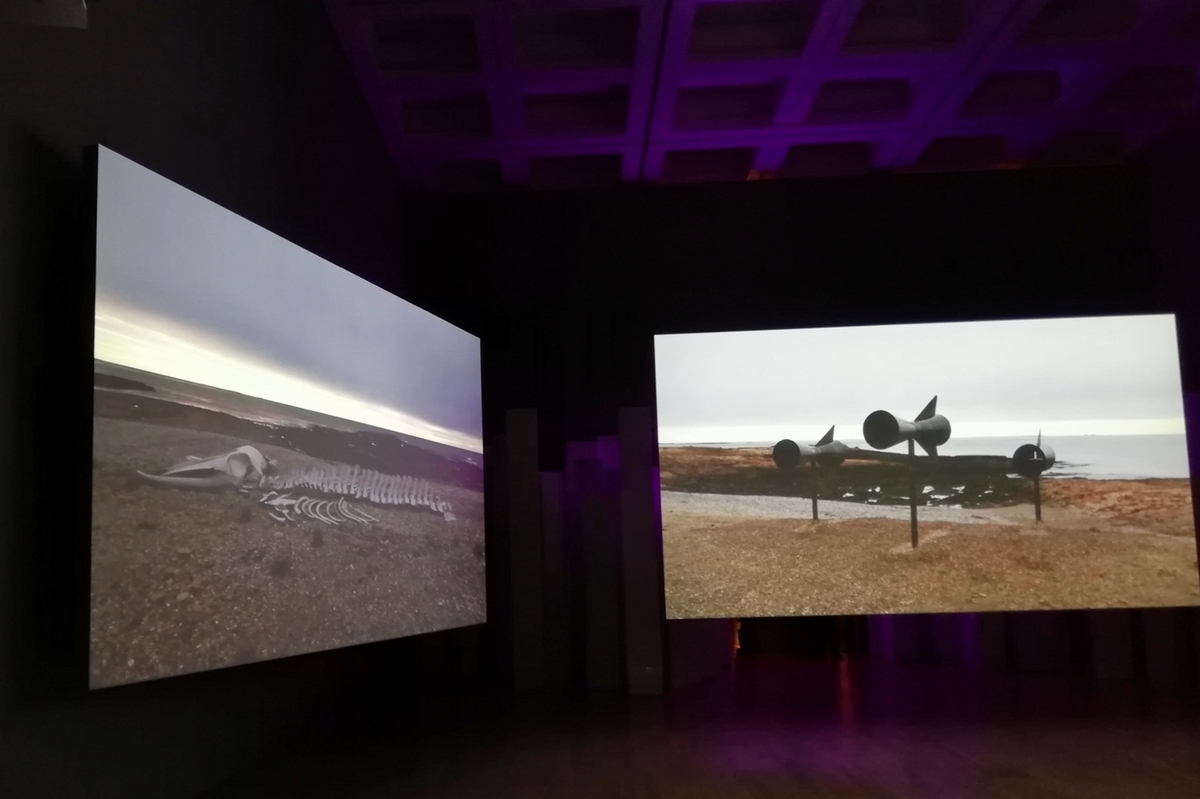 f:id:pokonan:20190729231016j:plain