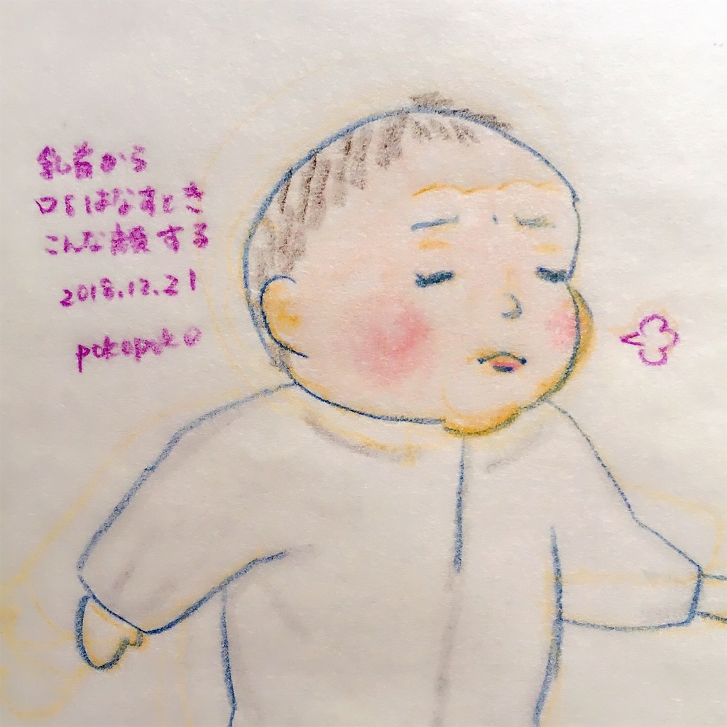 f:id:pokopokomemo:20181221190850j:image