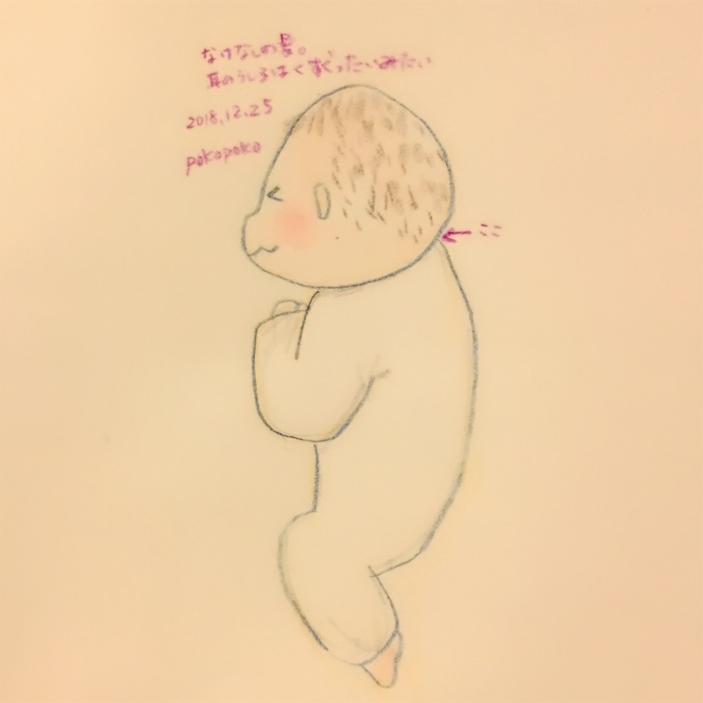 f:id:pokopokomemo:20181225205623j:image f:id:pokopokomemo:20181225205623j:image