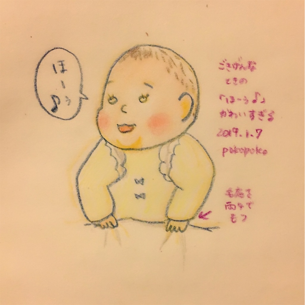 f:id:pokopokomemo:20190107220454j:image