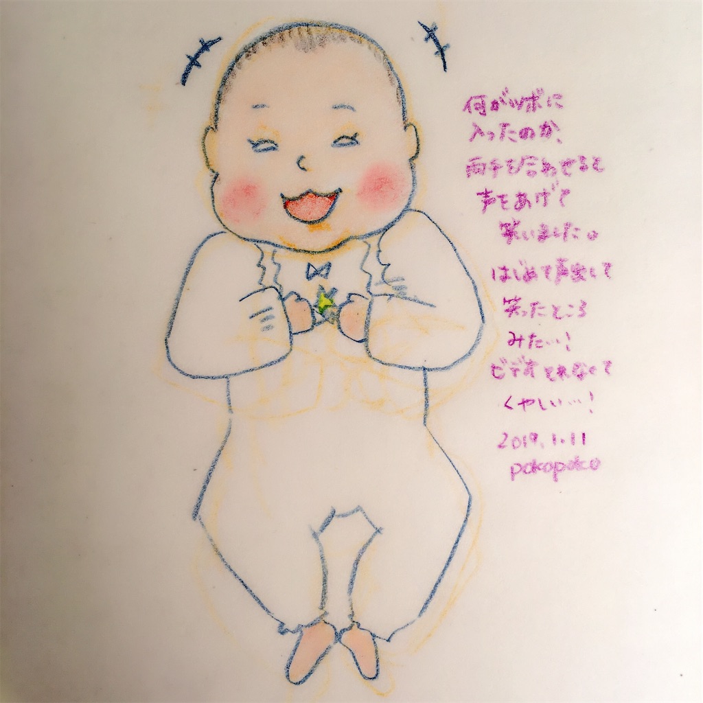 f:id:pokopokomemo:20190111221744j:image f:id:pokopokomemo:20190111221744j:image