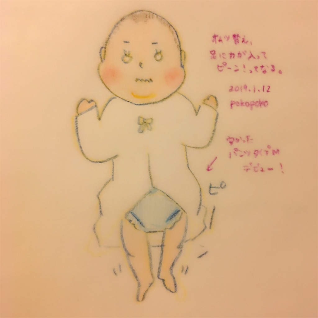 f:id:pokopokomemo:20190112212203j:image f:id:pokopokomemo:20190112212203j:image
