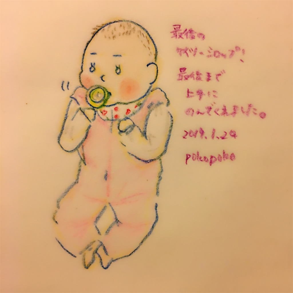 f:id:pokopokomemo:20190124222009j:image f:id:pokopokomemo:20190124222009j:image