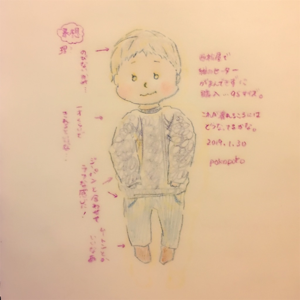 f:id:pokopokomemo:20190130223439j:image f:id:pokopokomemo:20190130223439j:image