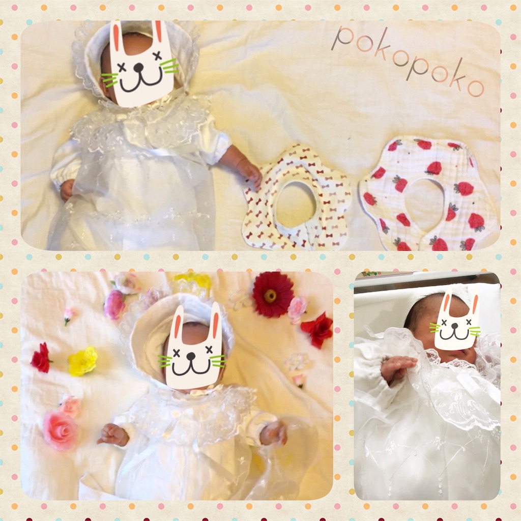 f:id:pokopokomemo:20190203224543j:image f:id:pokopokomemo:20190203224543j:image