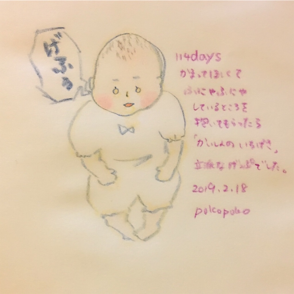 f:id:pokopokomemo:20190218233137j:image f:id:pokopokomemo:20190218233137j:image