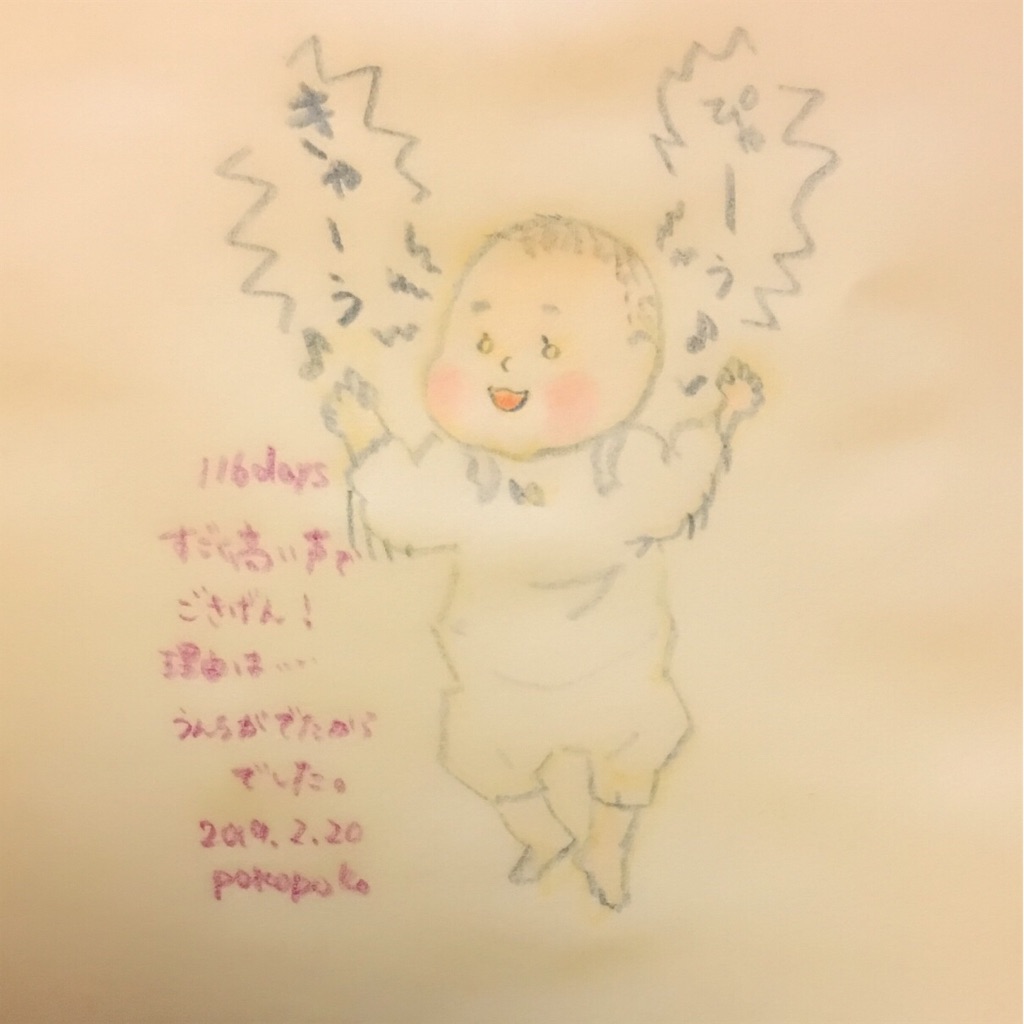f:id:pokopokomemo:20190220230337j:image f:id:pokopokomemo:20190220230337j:image