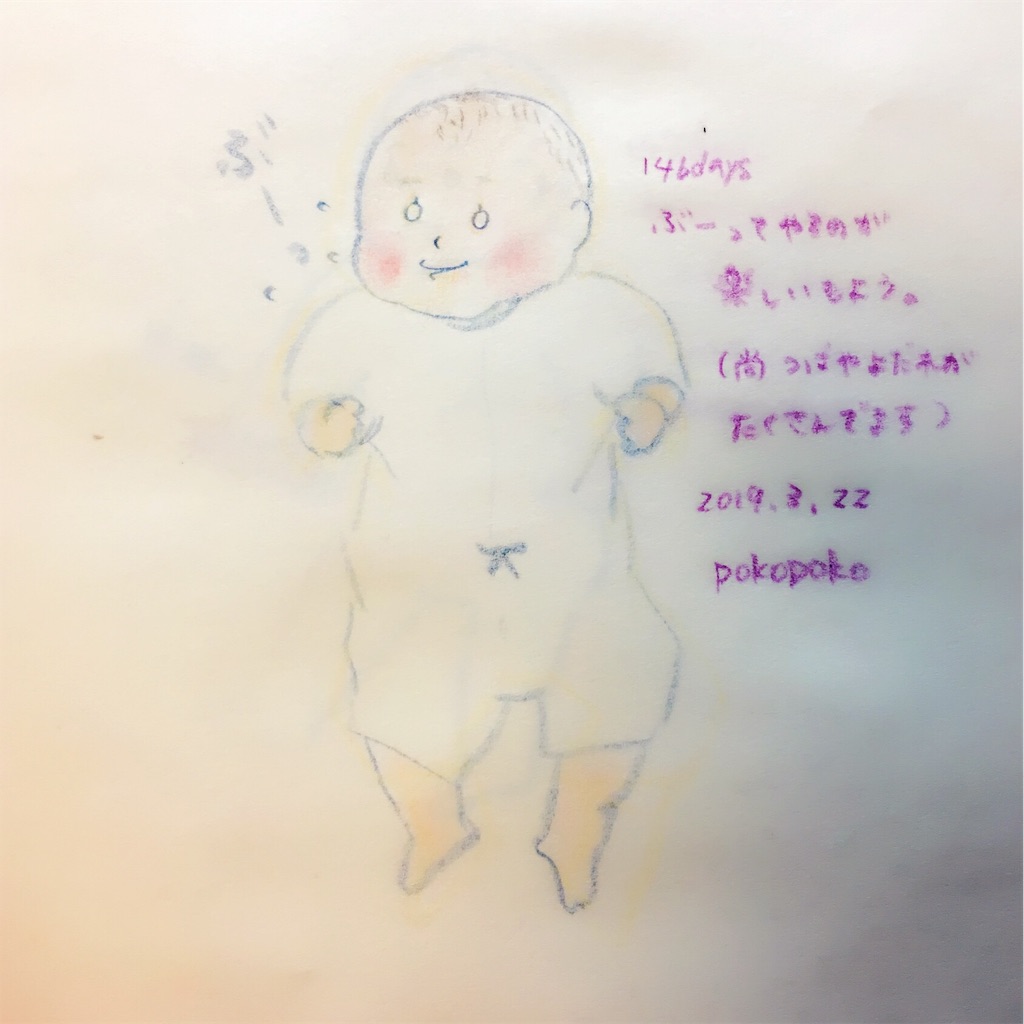 f:id:pokopokomemo:20190324182715j:image f:id:pokopokomemo:20190324182715j:image