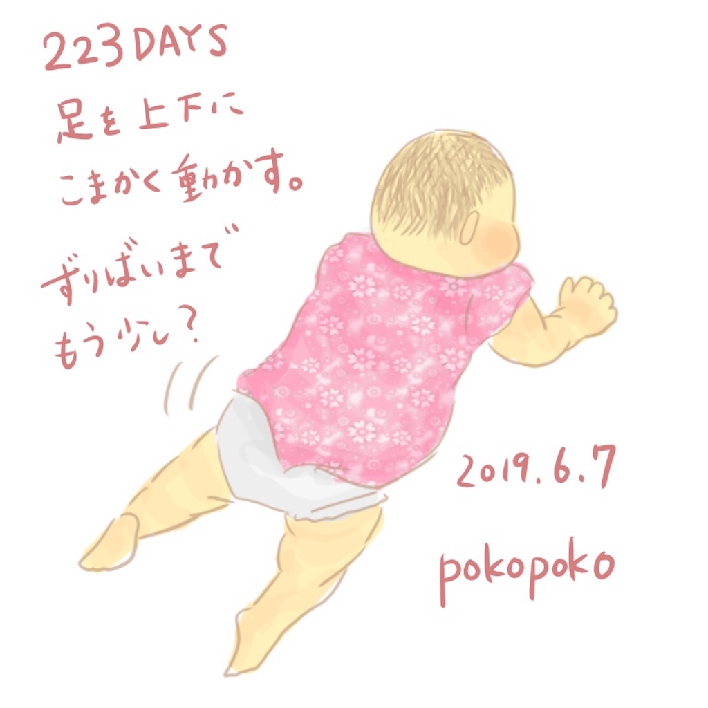 f:id:pokopokomemo:20190607181123j:image f:id:pokopokomemo:20190607181123j:image