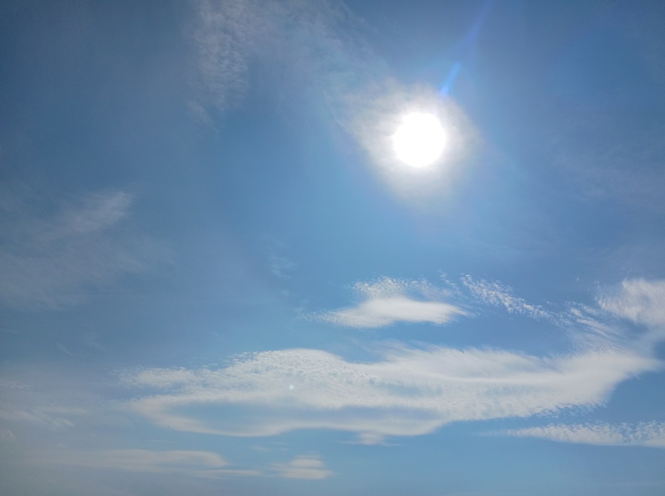 f:id:pokori93:20260714152341j:image