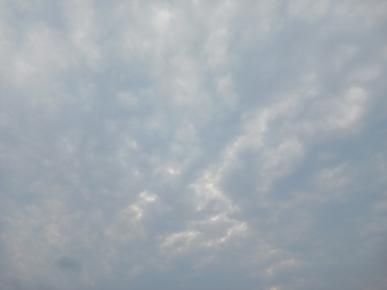 f:id:pokori93:20260715180732j:image