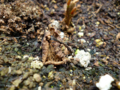 20160711135348