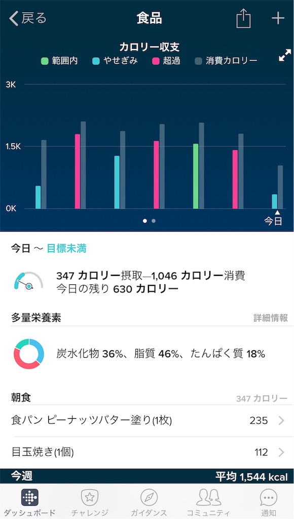 f:id:polca_dot:20190309150005j:image