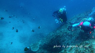 f:id:polepole-at-sea:20161005004645j:plain f:id:polepole-at-sea:20161005004645j:plain
