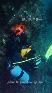 f:id:polepole-at-sea:20161231154415j:plain f:id:polepole-at-sea:20161231154415j:plain