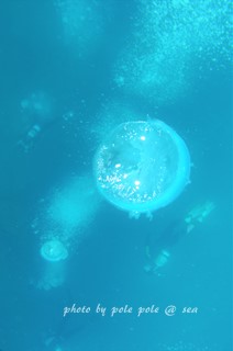 f:id:polepole-at-sea:20170416210208j:plain
