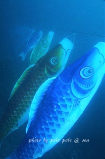 f:id:polepole-at-sea:20170421212045j:plain