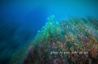 f:id:polepole-at-sea:20170421212335j:plain