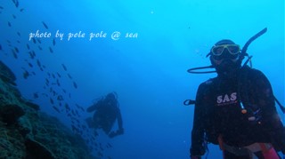 f:id:polepole-at-sea:20170618233846j:plain f:id:polepole-at-sea:20170618233846j:plain
