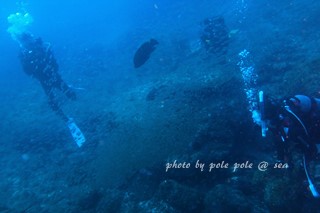 f:id:polepole-at-sea:20170819235737j:plain