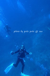 f:id:polepole-at-sea:20170829190042j:plain