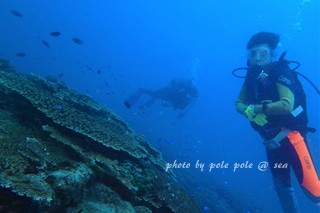 f:id:polepole-at-sea:20170902215734j:plain