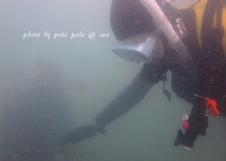 f:id:polepole-at-sea:20171024220825j:plain