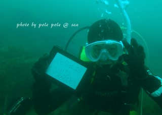f:id:polepole-at-sea:20171025221723j:plain