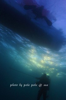 f:id:polepole-at-sea:20171104231938j:plain