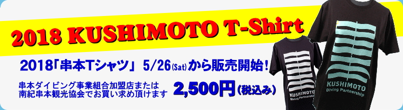 f:id:polepole-at-sea:20180514204548j:plain