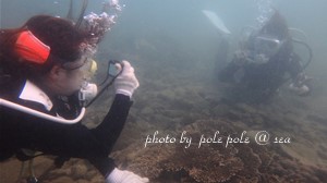 f:id:polepole-at-sea:20180917211536j:plain