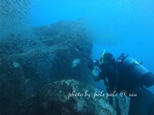 f:id:polepole-at-sea:20180922232910j:plain