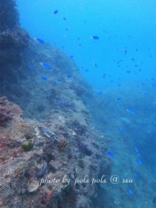 f:id:polepole-at-sea:20180926221253j:plain